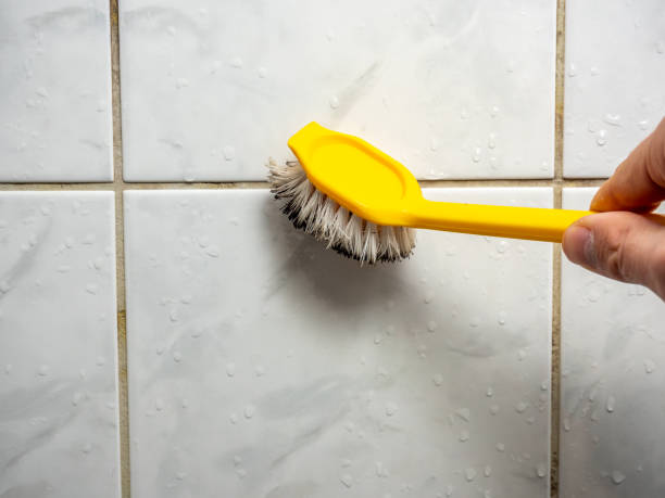 Reliable Mountain Home, ID Mold Removal Solutions