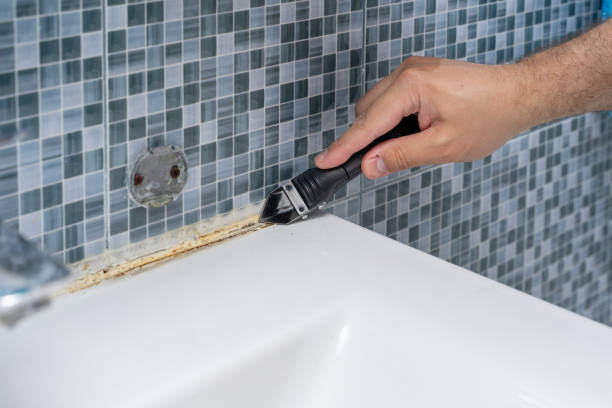 Best Mold Cleaning Services  in Mountain Home, ID